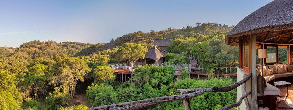 Lalibela Tree Tops Lodge