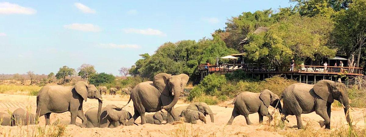 Jock Safari Lodge