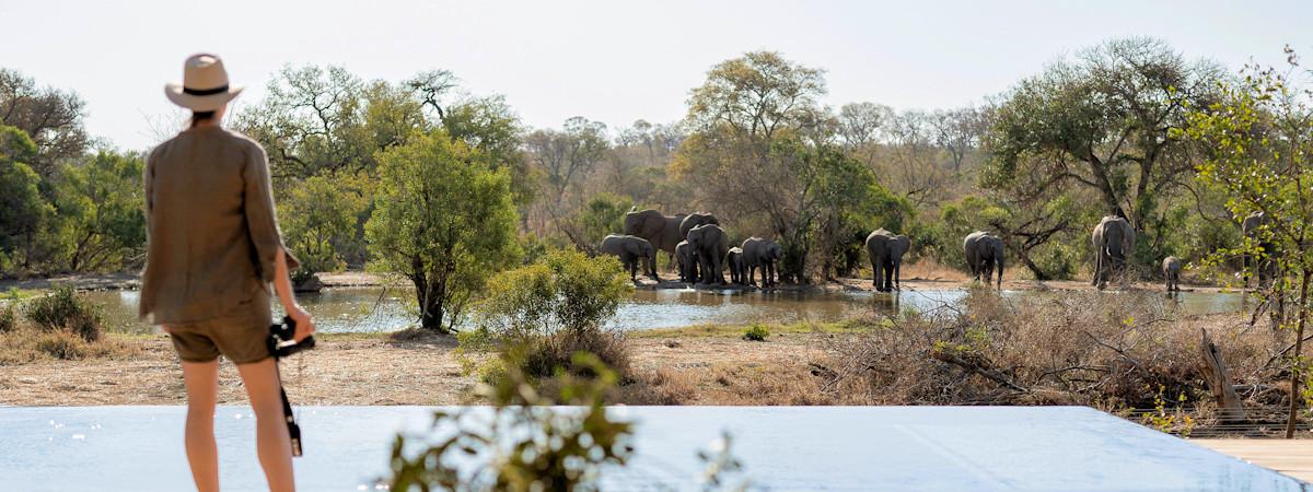 Monwana Game Lodge in the Thornybush