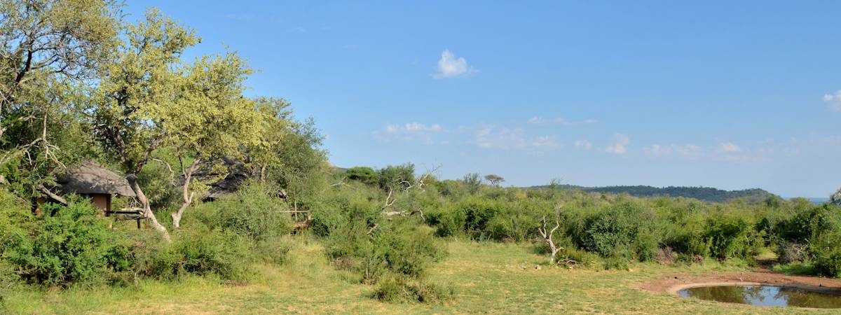 Motswiri Safari Lodge