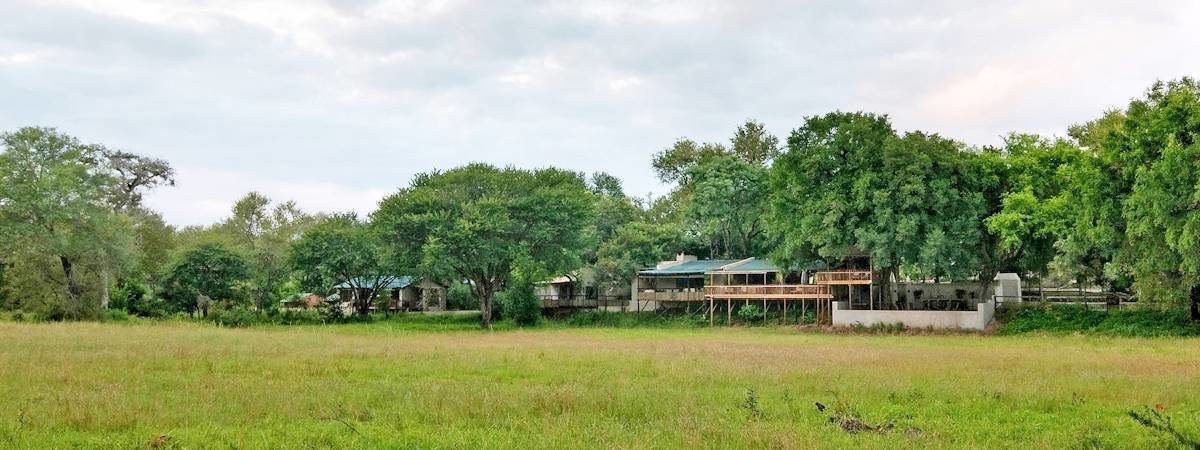 Sabi Sand & Timbavati Safari