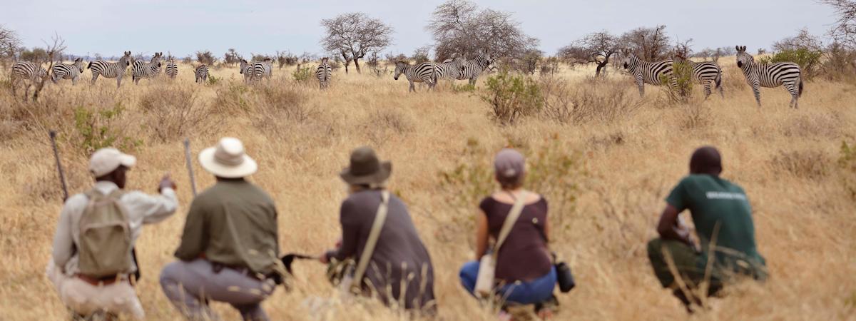 Best Asilia Walking Safari | Tanzania Safari