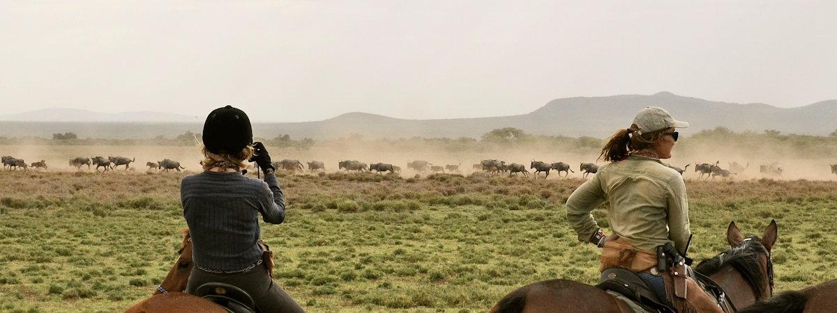 Lolkisale Horseback Safari