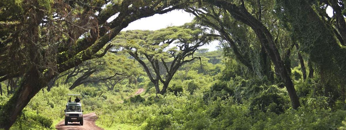 Migration, Crater & Beach Safari