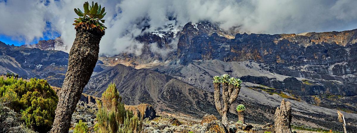 The Marangu Route