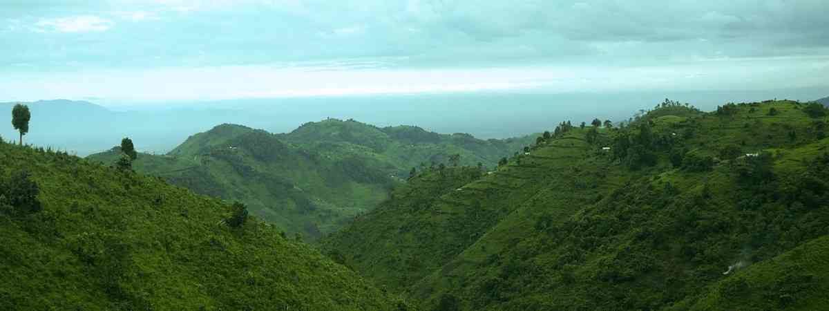 Glimpse of Gorilla Safari