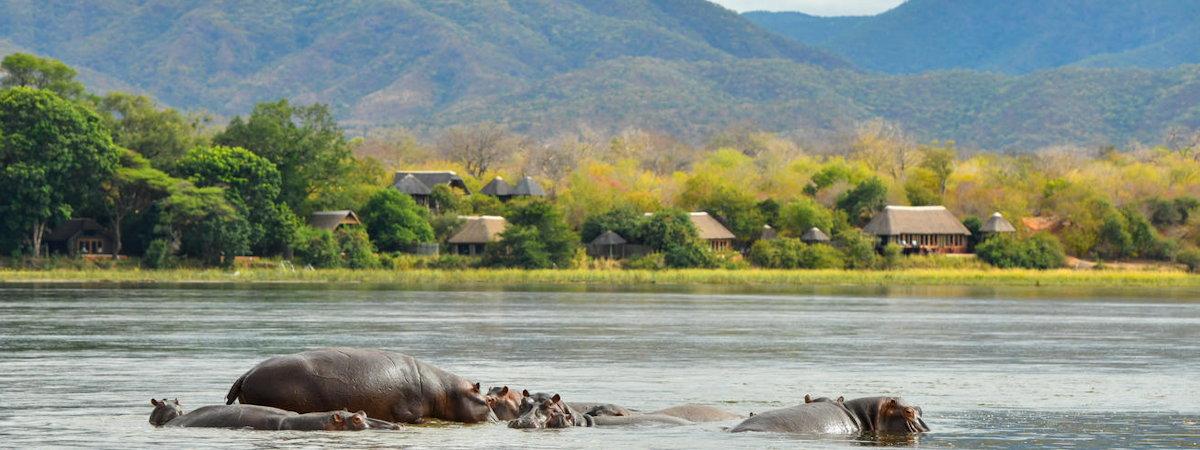 Royal Zambezi Lodge In Zambia