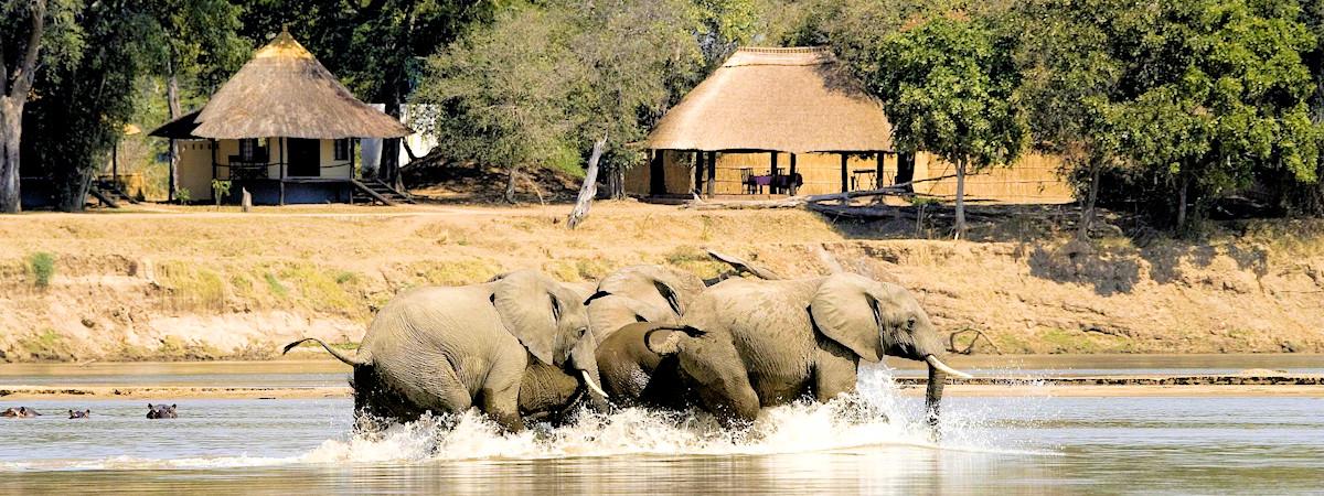 7 Day Luangwa Photographic Safari by Robin Pope