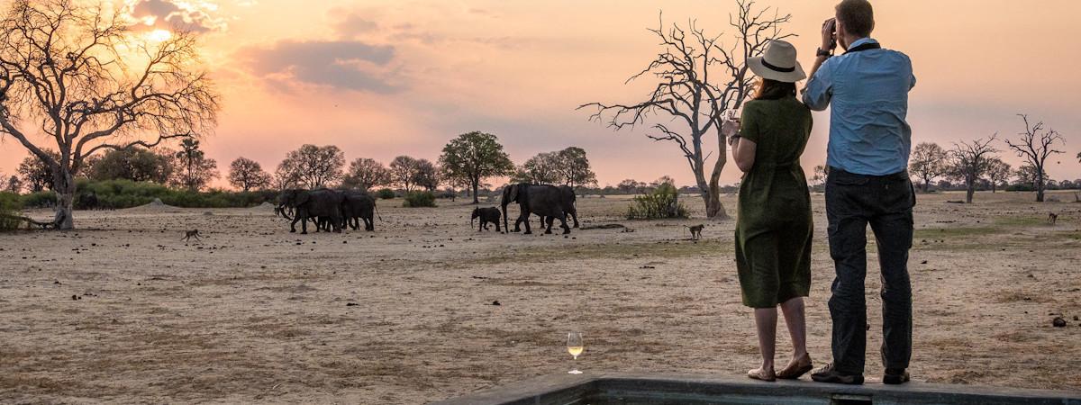 Linkwasha Camp a wilderness safaris Hwange safari camp