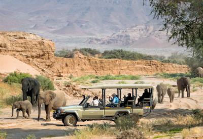 bushvald namibia africa