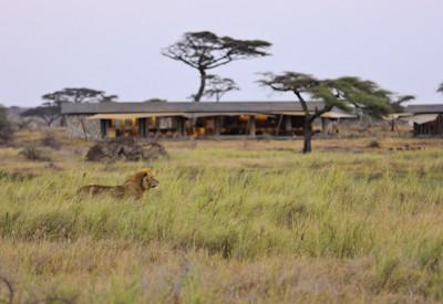 10 Best Lodges in the Serengeti