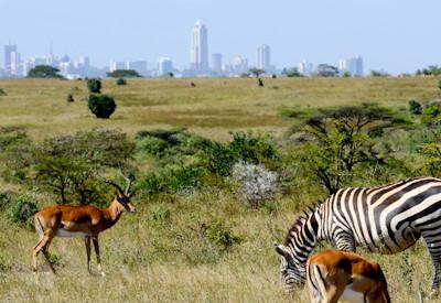 10 Must See Attractions in Nairobi