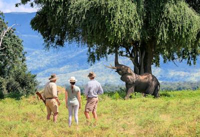 10 reasons to visit Mana Pools National Park