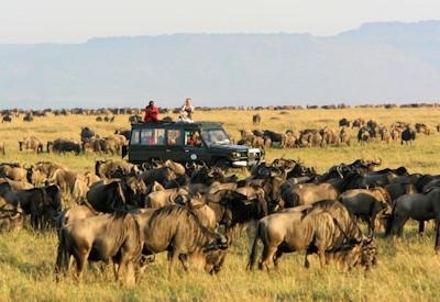 10 Reasons to Visit Masai Mara