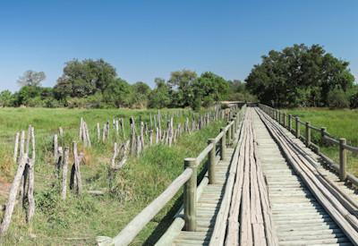 Best Okavango Delta safari itinerary