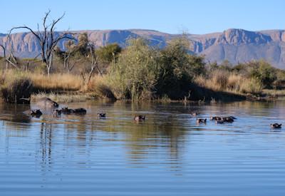 Reasons to Visit the Marakele National Park