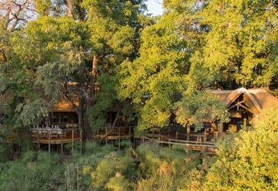 Moremi Lodges | Lodges In Moremi