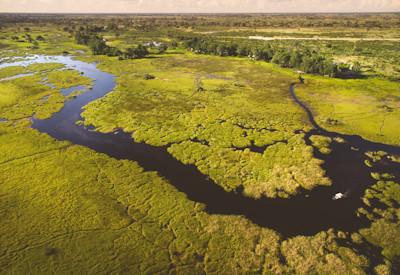 Duba Plains Suite