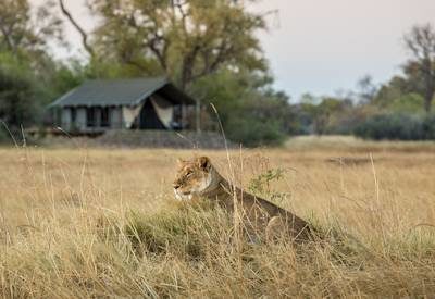 Little Machaba Camp