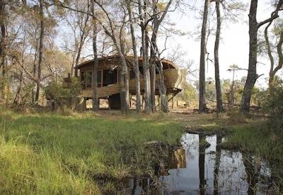 Sandibe Okavango Safari Lodge