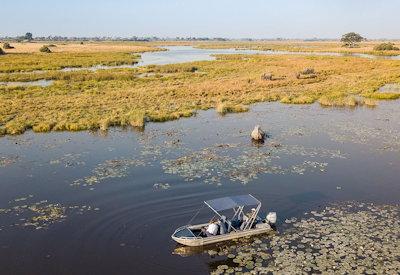 Incredible Selinda wildlife sightings
