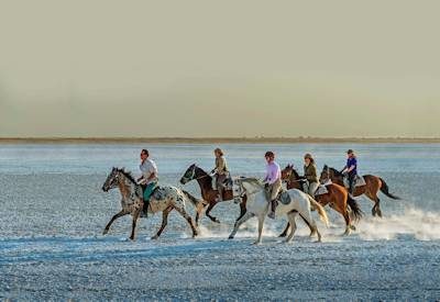 Horse Riding Makgadikgadi