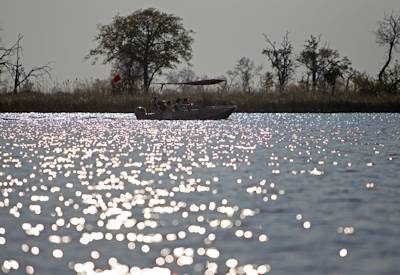 Okavango Contrasts Safari