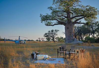 Honeymoons safaris at Belmond Eagle Island Lodge 