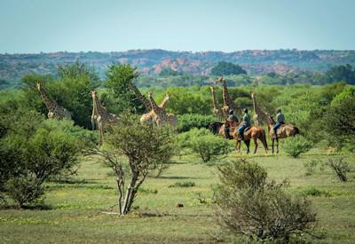 Family friendly Mashatu Lodge