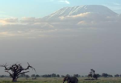 Kilimanjaro Safari to Mombasa Coast