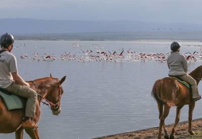 Through the Rift Valley Safari