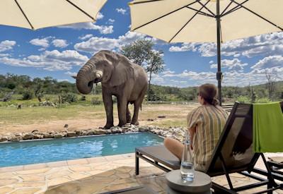 Ongava Tented Camp