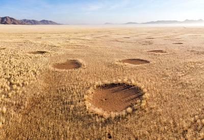 Classic Namibia Safari