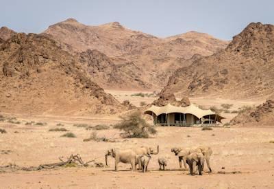 Great Namibian Journey