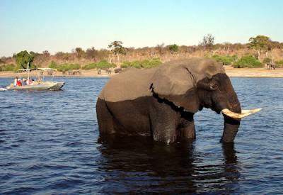 Namibia Culture and Wildlife Safari