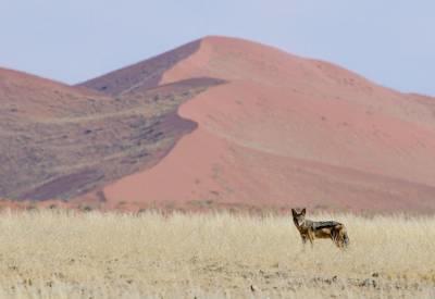 Namibian Highlights | Namibia Safari