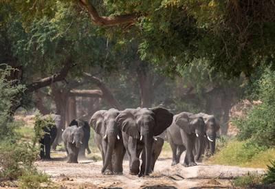 Namibian Highlights Safari