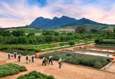 Babylonstoren Farm Hotel