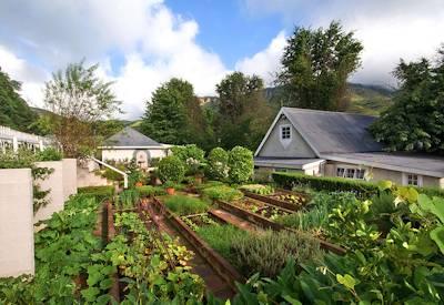 A vegatble garden that needs to be seen