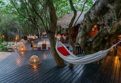 Kosi Forest Lodge