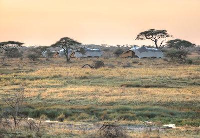 Asilia Namiri Plains Camp | Serengeti Authentic Tented Camp