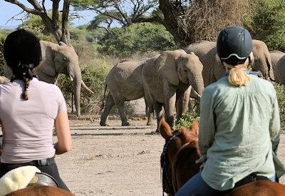 Lolkisale Horseback Safari