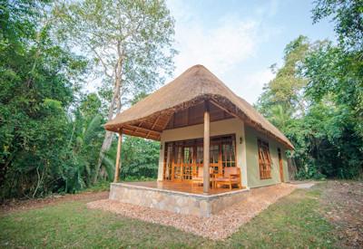 Primate Lodge Kibale