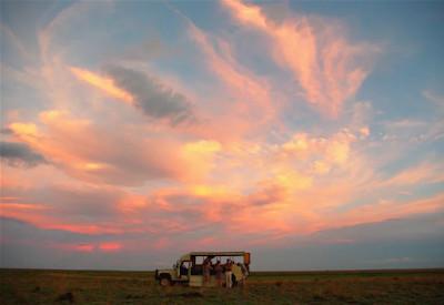 Best of Zambia Safari