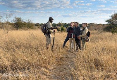 Walking safaris in Mana Pools