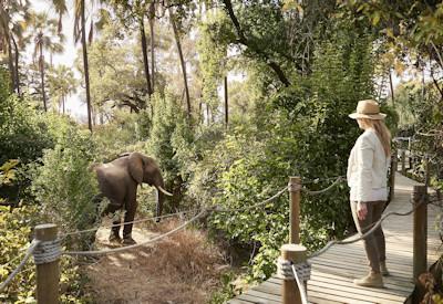 Victoria Falls River Lodge